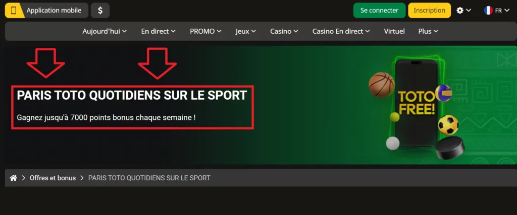 Possibilités offertes par l'accès au compte personnel du bookmaker